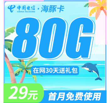 电信海豚卡29元80G